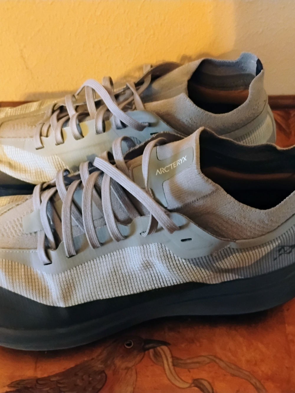 Arc'teryx Men's Light Grey Athletic Trainers